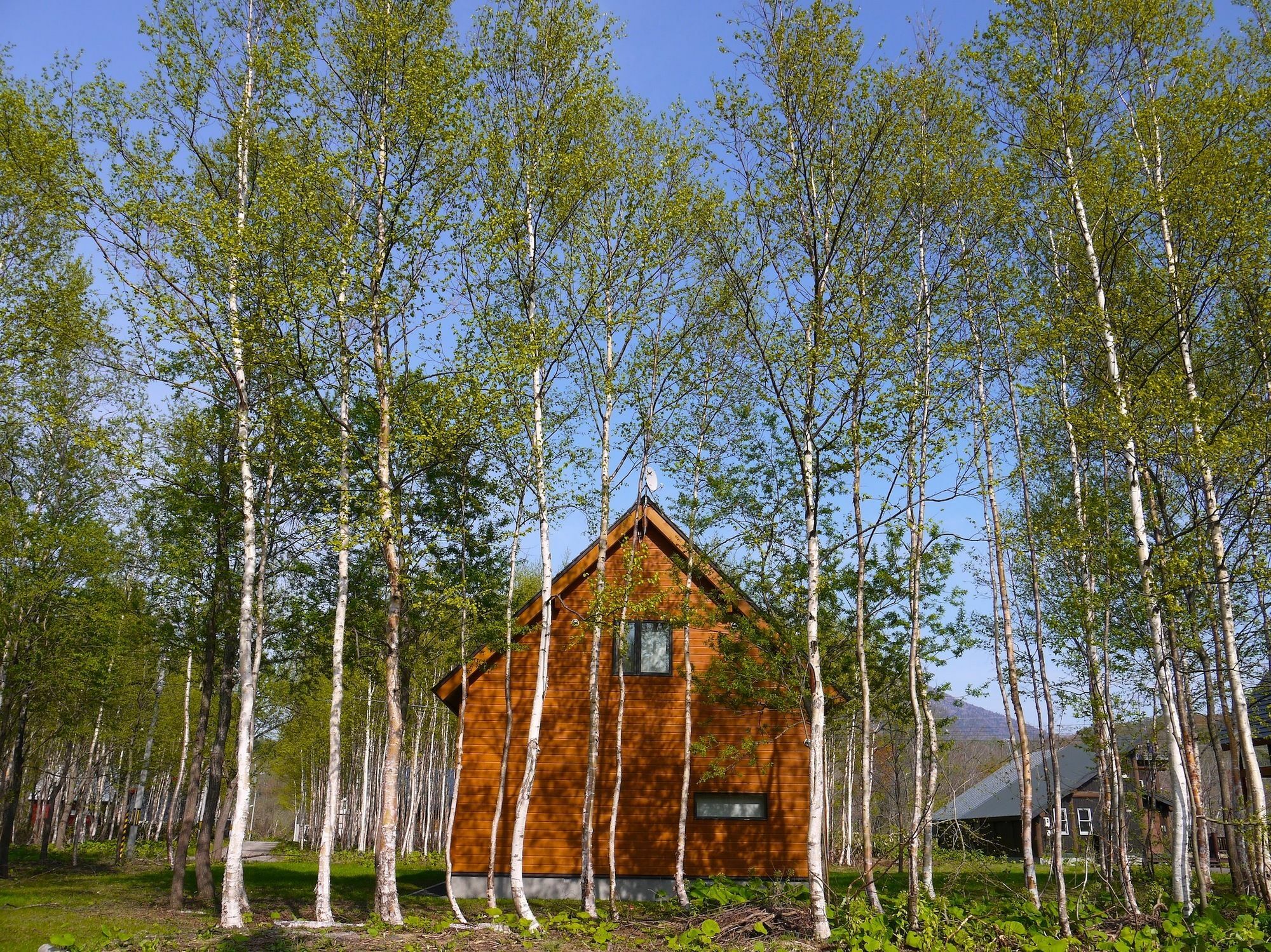 Country Resort Niseko Kutčan Exteriér fotografie